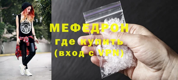 индика Богородск
