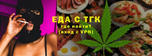 индика Богородск