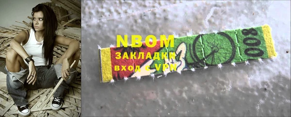 индика Богородск